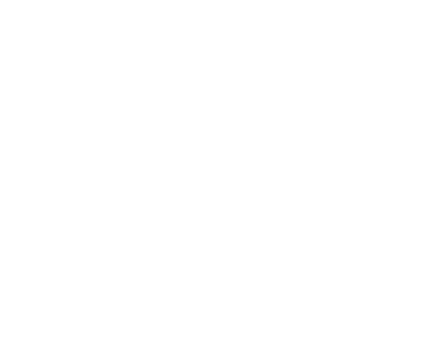 MEIDISI 美蒂斯